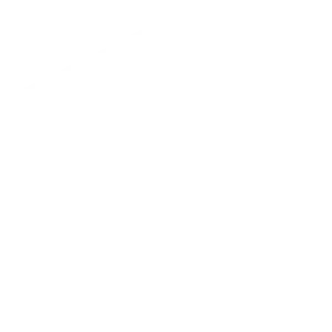 Icono logo blanco de la empresa de marketing digital y seo pespecializada en negocios locales